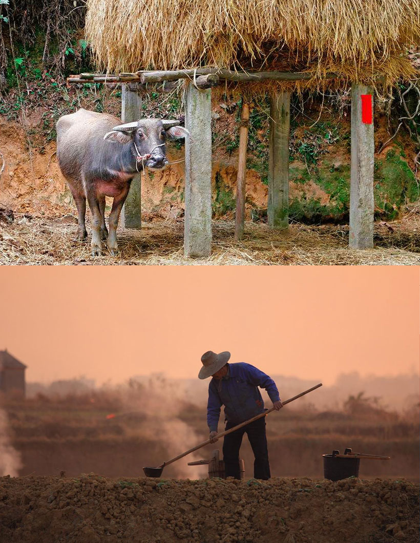 鄉(xiāng)村記錄采訪